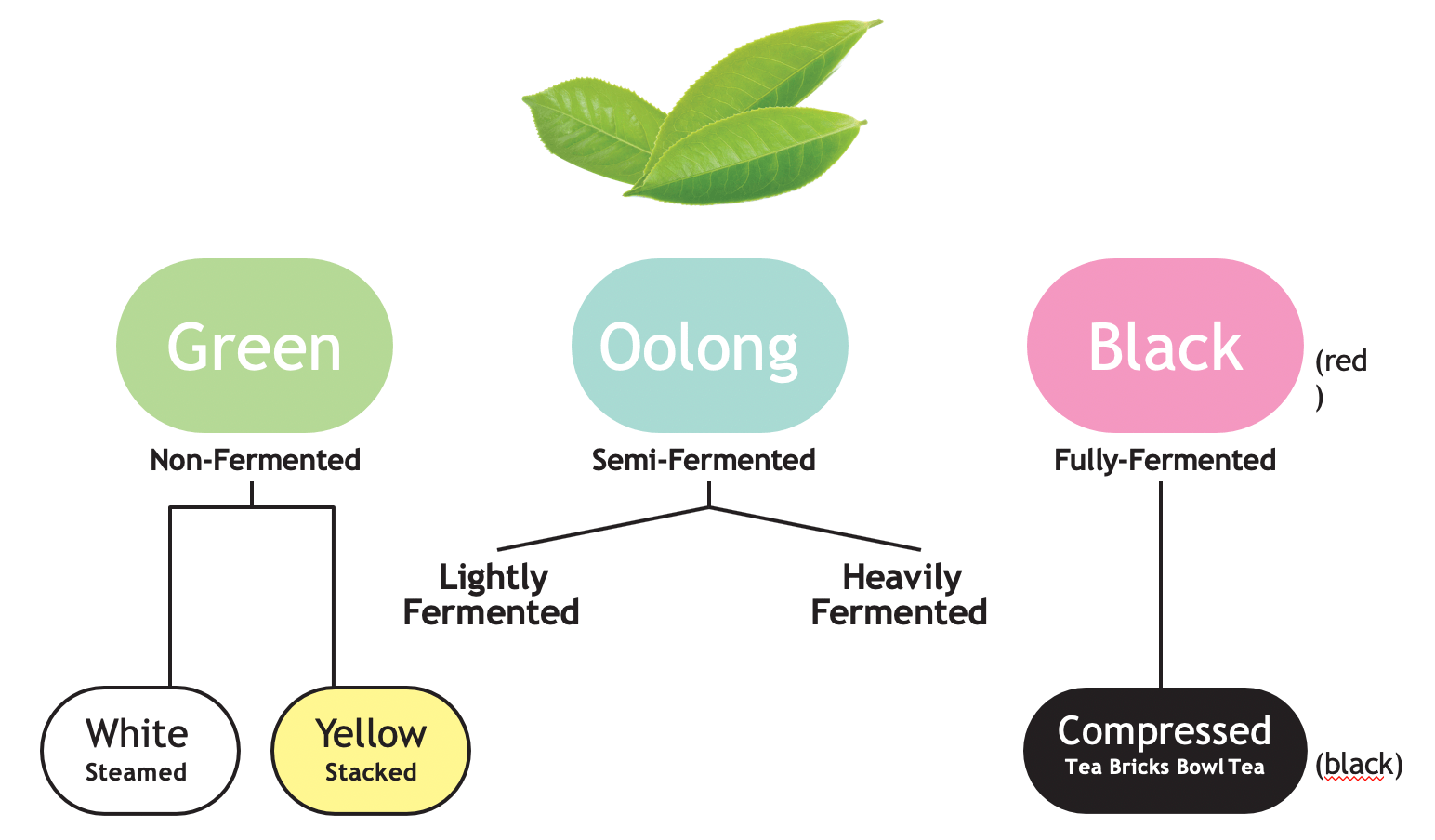 categories-of-tea - Hope and Glory