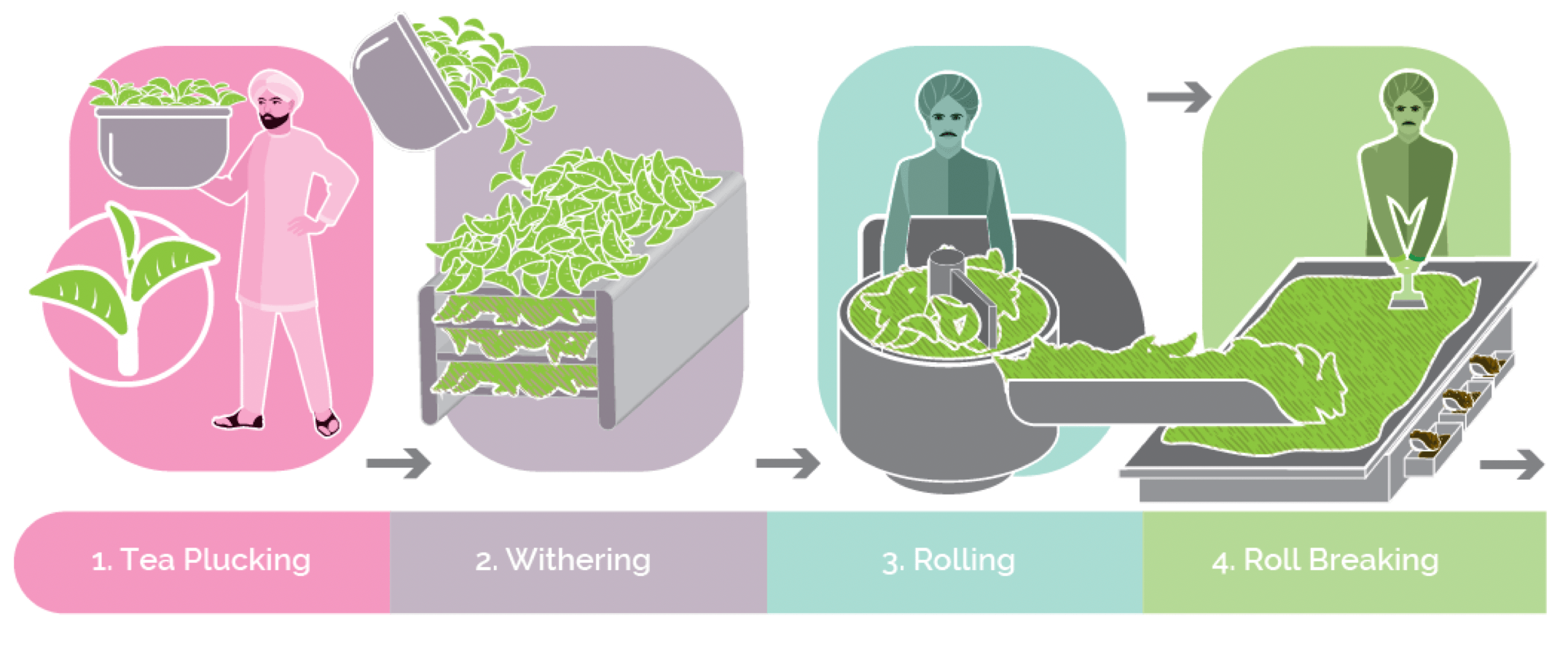 tea-processing1 - Hope and Glory